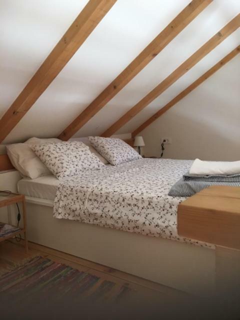 Zaglav Dream Houseヴィラ エクステリア 写真
